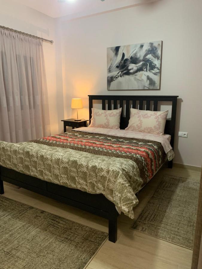 Renovated Apartment In The Center Of Larisa ภายนอก รูปภาพ
